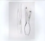 Anonimo ; Anonimo , s.v.