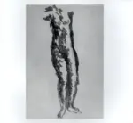 Tavernari, Vittorio , Nudo femminile