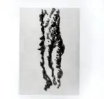 Tavernari, Vittorio , Nudo femminile