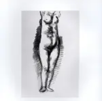 Tavernari, Vittorio , Nudo femminile