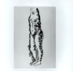 Tavernari, Vittorio , Nudo femminile