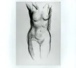 Tavernari, Vittorio , Nudo femminile