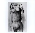 Tavernari, Vittorio , Nudo femminile