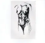 Tavernari, Vittorio , n. 6 bis