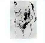 Tavernari, Vittorio , n. 5