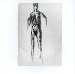 Tavernari, Vittorio , n. 567