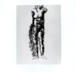 Tavernari, Vittorio , n. 554