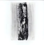 Tavernari, Vittorio , n. 815