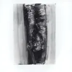 Tavernari, Vittorio , n. 844