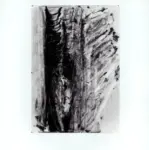 Tavernari, Vittorio , n. 843