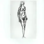 Tavernari, Vittorio , n. 505