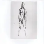 Anonimo ; Anonimo , s.v.