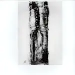 Anonimo ; Anonimo , s.v.