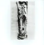 Anonimo ; Anonimo , s.v.