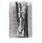 Tavernari, Vittorio , n. 846