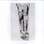 Tavernari, Vittorio , n. 805