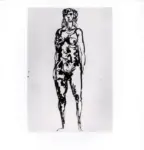 Tavernari, Vittorio , n. 522