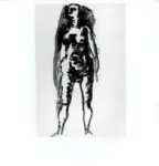 Tavernari, Vittorio , n. 544