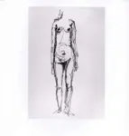 Tavernari, Vittorio , n. 508