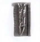 Tavernari, Vittorio , n. 849