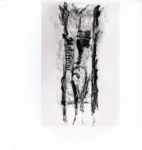 Tavernari, Vittorio , n. 707