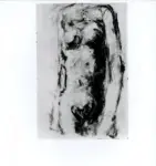 Tavernari, Vittorio , n. 79