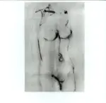 Tavernari, Vittorio , n. 40