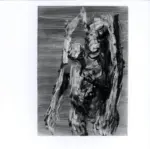 Anonimo ; Anonimo , s.v.