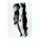 Anonimo ; Anonimo , s.v.