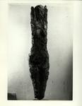 Tavernari, Vittorio , Figura femminile