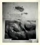 Tavernari, Vittorio , Figura