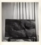 Tavernari, Vittorio , Figura