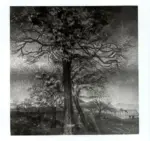 Timmel, Vito , Paesaggio