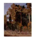 Tommasi, Ludovico , Paesaggio