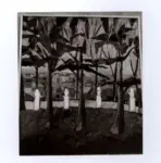 Toppani, Vittorio , Gianicolo