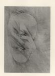 Vangi, Giuliano , Disegno