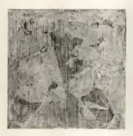 Vianello, Vinicio , Segnale bianco