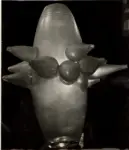 Fei Toso, Ferdinando ; Vianello, Vinicio , Reazione nucleare , Reazione nucleare -