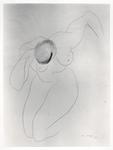 Viani, Alberto , Disegno