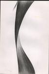 Viani, Alberto , Disegno