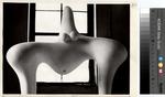 Cameraphoto , s.v.
