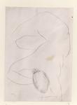 Viani, Alberto , Disegno