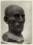 Vignolini, Benso , Ritratto d'ignoto