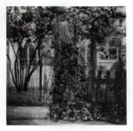 Vignozzi, Piero , Giardino della Scuola