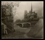 Vitale, Carlo , La Senna a Notre Dame