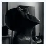 Viterbo, Dario , Geremia