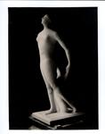 Viterbo, Dario , La Venere pura