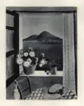 Rosina, Viva , Fenster mit Blick auf den Vesuv