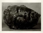 Vivarelli, Jorio , Maschera