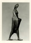 Vivarelli, Jorio , Figura